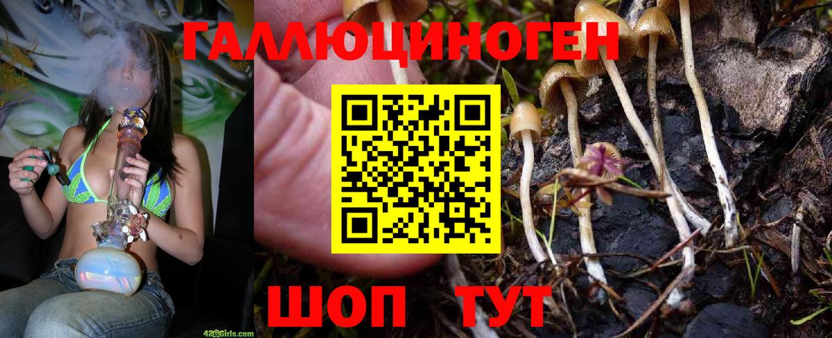 что такое наркотик  Вход с VPN  Калуга  Галлюциногенные грибы ЛСД 